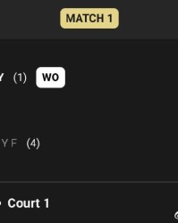 陈雨菲赛前退赛，安洗莹晋级马来西亚羽毛球公开赛女单决赛