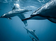 开云-开云体育官网：让热血在指尖点燃的全方位体验